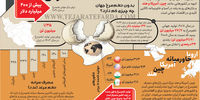 اقتصاد تخم‌مرغی