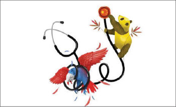 صنعت علوم زیستی چین